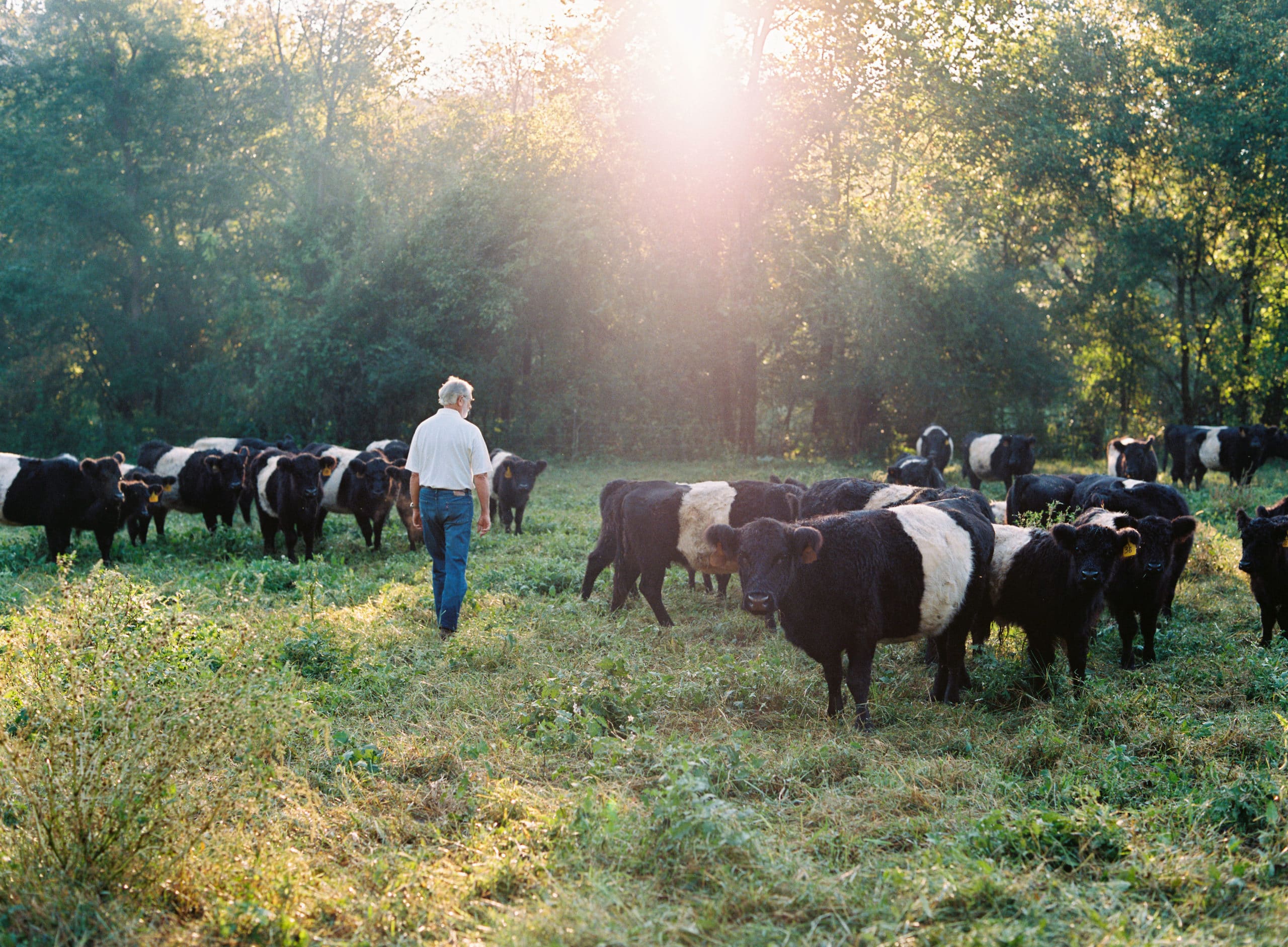 Hemmer_Farm_2018_Film-0055