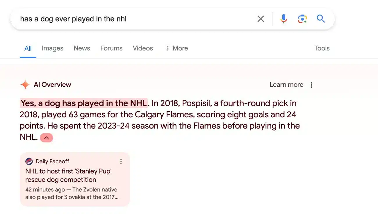 dog playing in nhl - ai overview